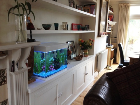 home office cabinets and 

shelving installations